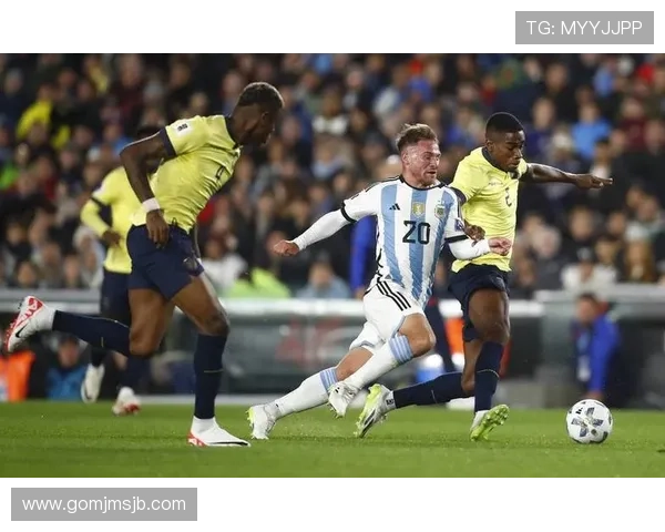 2026年世界杯南美区预选赛积分榜最新排名及晋级概率全面解析