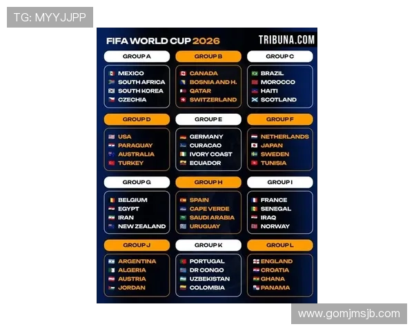 2026年世界杯非洲区预选赛最新分组情况全面解析与比赛前瞻
