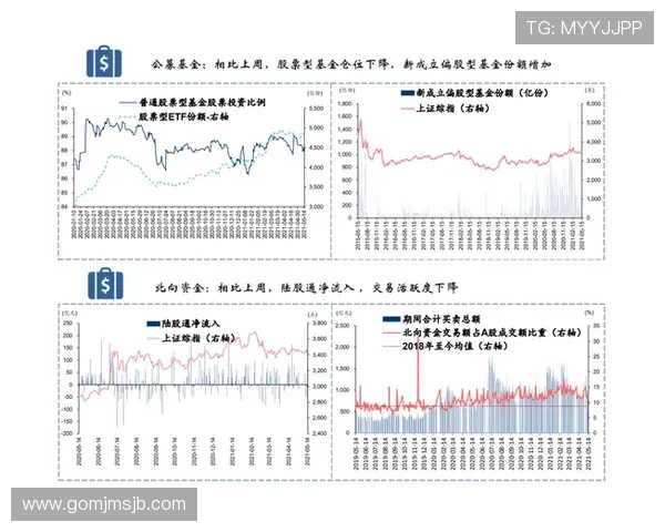 2026巴西世界杯阵容调整策略与主力球员最新名单全景介绍