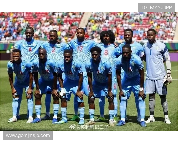 2026年世界杯晋级球队名单全解析，哪些国家成功晋级，晋级赛中的精彩表现回顾