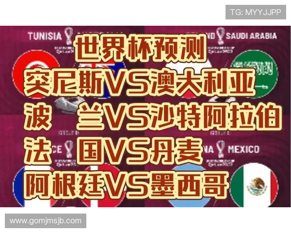 世界杯突尼斯vs荷兰比赛期间球迷围巾的流行趋势与购买指南